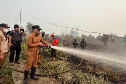 Bupati Kubu Raya dorong penegakan hukum kasus karhutla