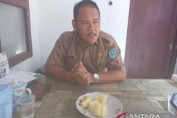 Kementan RI bangun tiga embung irigasi pertanian di Kabupaten Bangka