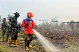 Ketapangdan Kubu Raya mendominasi sebaran titik panas di Kalbar