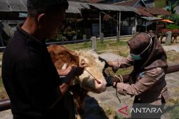 DKPPP Temanggung membagikan obat hewan gratis di Pasar Ngadirejo