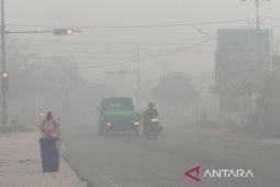 Asap tebal mulai selimuti Pangkalan Bun