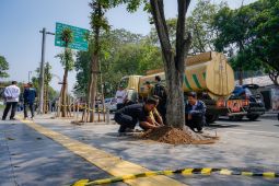 Pohon di depan Padel Six Nine Bandung ditanam kembali oleh Pemkot Bandung