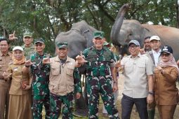 Menjaga jarak dengan gajah, melindungi penghidupan warga di Way Kambas