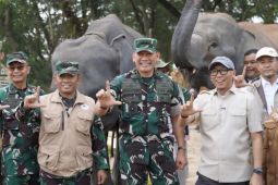 Menjaga jarak dengan gajah, menjaga penghidupan warga di Way Kambas