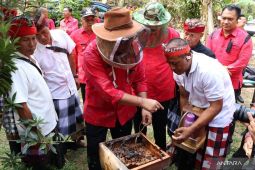 Bungan Desa ke-64, Bupati Sanjaya: Perkuat potensi pertanian hingga pariwisata kelas dunia