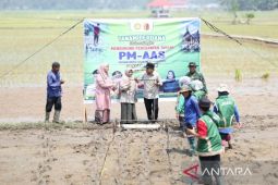 Pemkot Solok terapkan pertanian modern tingkatkan produktivitas