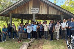 Pemkab Aceh Besar kembangkan sapi Aceh di pulau terluar