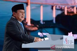 Prabowo dorong investasi RI-Rusia lewat Danantara-RDIF