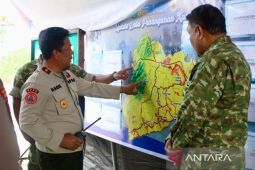 Mabes TNI puji kinerja Satgas Karhutla Tanah Bumbu