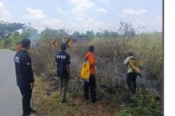 BPBD Sumut catat satu hektare terdampak akibat karhutla di Paluta