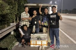 Polisi gagalkan penyelundupan 150 ribu benih bening lobster