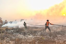 Bupati Lamandau instruksikan penguatan pencegahan-penanganan karhutla