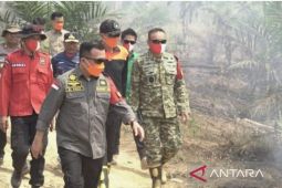 Dua helikopter dikerahkan untuk pemadaman karhutla di Tahura Jambi