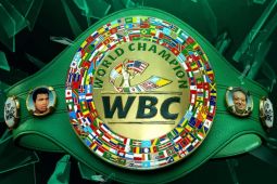 WBC rilis peringkat tinju putra, Jepang dominasi tiga divisi