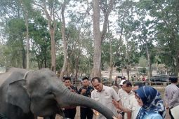 DPR minta penanganan karhutla di Way Kambas Lampung Timur fokus pada pencegahan