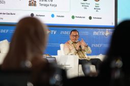 Wamen Investasi sebut pemberian insentif jadi strategi hilirisasi