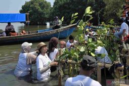Pemkab Bekasi-pelaku usaha tanam 1.500 bakau di Pesisir Muaragembong