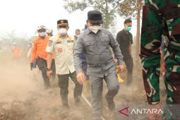 AMAN Kalbar minta pemda tetapkan status bencana asap