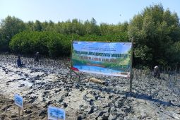 Pertamina Patra Niaga RJBB kolaborasi tanam 3.000 bibit mangrove di Karawang