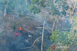 Otorita IKN: Penegakan hukum untuk kendalikan karhutla