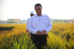 Mentan sebut produksi dan surplus beras terjaga, siap hadapi El Nino
