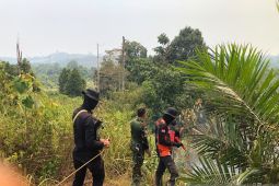 Brimob Polda Jambi patroli karhutla  di jalur lintasan gajah