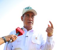 Mentan Amran: Mayoritas beras fortifikasi tak sesuai, rakyat dirugikan