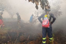 Tim gabungan masih tangani karhutla 36 hektare di Singkawang