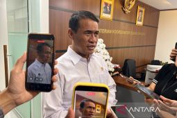 Mentan: Produksi beras aman seiring SPHP medium ditambah 1 juta ton