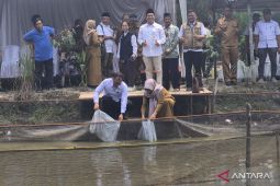 BPBAT dapat dukungan swasta kembangkan sektor perikanan di Jambi