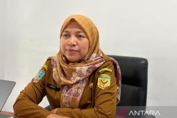 Petani lokal pasok pangan ke 10 SPPG di Timika