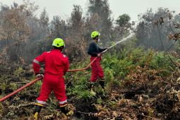 PT Timah kerahkan Tim Fire Fighter  tangani karhutla di Kalimantan Barat