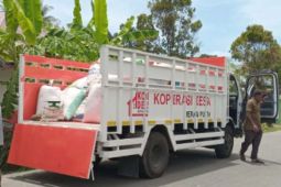 KDMP di Pulau Simeulue serap gabah petani