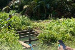 BBRMP Maluku siapkan irigasi perpompaan untuk lahan Tanimbar