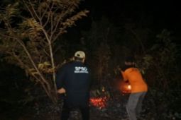 BPBD Sumut catat empat hektare lahan terbakar di Kabupaten Paluta