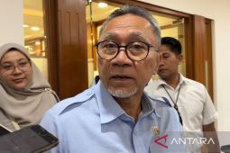 Zulhas sebut 380 ribu ton beras turun mutu dihilirisasi jadi tepung