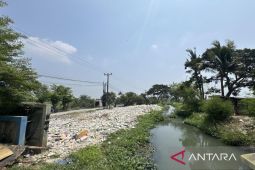 Pemkab Bekasi hijaukan lahan eks bangunan liar di sepanjang Saluran Balong Tua