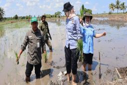 Balai Benih TPH Kalsel jaga ketersediaan benih petani