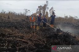 BPBD: Kebakaran hutan dan lahan di Aceh Barat capai 13 hektare