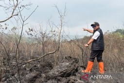 Bupati Kuningan ungkap luas karhutla di Gunung Ciremai capai 40 hektare