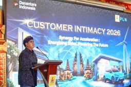 Penjualan listrik di Bali tumbuh 8,48 persen