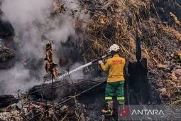 Tim gabungan berjibaku padamkan karhutla 8,5 hektare di Kabupaten Berau