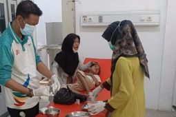 Tiga warga tertimpa pohon saat melintas di lokasi Karhutla