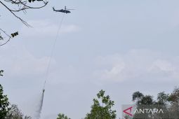 ESDM Kalsel kendalikan karhutla di area 121,6 hektare Guntung Damar
