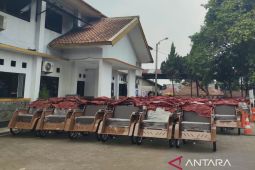 Dishub Cianjur Terima 120 Unit Becak Listrik Bantuan Presiden Prabowo