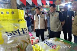 Satgas Saber Pangan Bapanas pantau harga beras di Kota Madiun