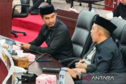 Fraksi NasDem DPRD Murung Raya soroti tata kelola anggaran daerah
