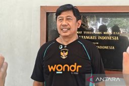 Nova Widianto: Saya mencoba mengembalikan kejayaan ganda campuran