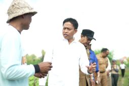 Diperpa Badung Tanam Cabai 42 Hektare