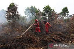 Pemprov Kalbar perpanjang tanggap darurat asap sampai 20 September